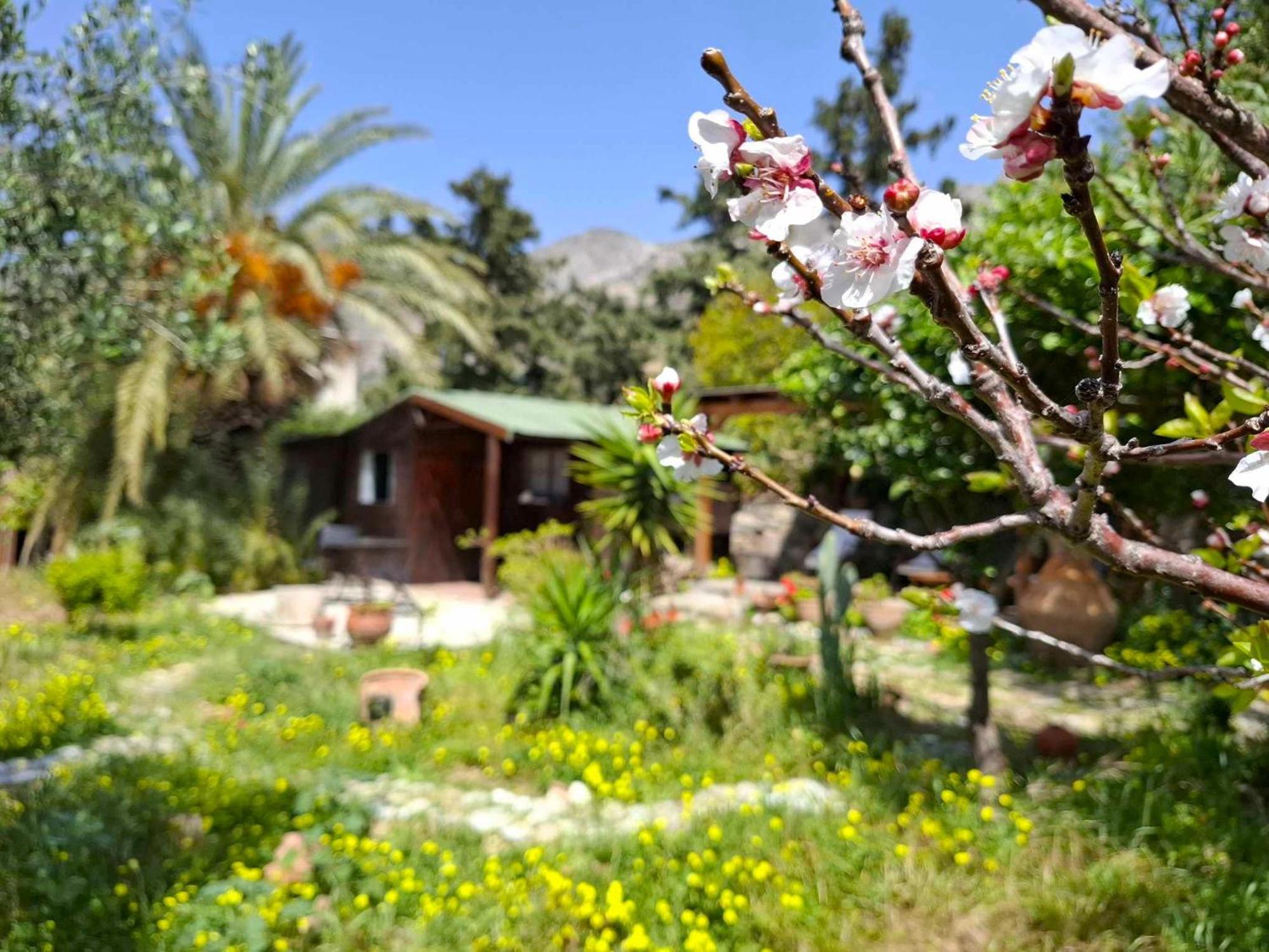 Levantes Garden House - Keratokampos Extérieur photo